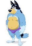 anthro barefoot belly blue_body blue_fur briefs briefs_only bulge clothed clothing eyebrows feet fur looking_at_viewer male moobs navel purple_briefs purple_clothing purple_underwear shadow simple_background slightly_chubby slightly_chubby_anthro slightly_chubby_male smile solo standing thick_thighs topless topless_anthro topless_male tuft underwear underwear_only white_background e-w01f bluey_(series) bandit_heeler australian_cattle_dog canid canine canis cattledog domestic_dog herding_dog mammal pastoral_dog 2023 hi_res signature