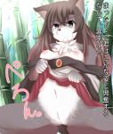 2017 akatsuki_no_guuru anthro anus biped black_nose breasts brown_eyes brown_hair canid canine canis clothed clothing female fur genitals grey_body grey_fur hair hi_res japanese_text kagerou_imaizumi kemono looking_at_viewer mammal navel nipples partially_clothed pussy solo text touhou translated white_body white_fur wolf