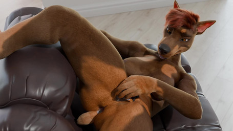 animal_genitalia animal_penis animal_vulva anthro anthro_on_anthro balls bodily_fluids breasts brown_body canine_genitalia canine_penis canine_vulva cropped_ears duo erection extreme_size_difference female fur genital_fluids genitals hair knot knotted_penis male male/female micro nipples nude open_mouth oral_vore penetration penile penis size_difference smile tail teeth tongue unbirthing vaginal vaginal_fluids vore vulva dr_whooves_(artist) dobermann_(untied_verbeger) patches_(ashes) canid canine canis dobermann domestic_dog fox mammal pinscher 3d_(artwork) 3d_animation animated digital_media_(artwork) hi_res huge_filesize long_playtime no_sound webm