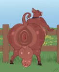 anthro anus balls big_anus big_balls big_breasts big_butt big_penis blue_sky breasts brown_body brown_fur butt collar confident curvy_figure fence fur gaping gaping_anus genitals grass grass_field gynomorph highlights_(coloring) hooved_toes hooves huge_anus huge_balls huge_breasts huge_butt huge_penis hyper hyper_anus hyper_butt intersex looking_at_viewer looking_back looking_back_at_viewer nude offering_to_viewer open_mouth penis plant presenting presenting_anus presenting_hindquarters puffy_anus sky smile smiling_at_viewer snout solo tail voluptuous yellow_eyes slimefur bovid mammal colored hi_res