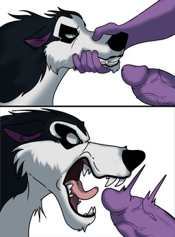 angry anthro blue_eyes duo erection fangs genital_danger_play genitals glans human_on_anthro humanoid_genitalia humanoid_penis imminent_fellatio imminent_injury imminent_oral interspecies male male/male open_mouth penis sharp_teeth showing_teeth simple_background snout_grab teeth vein veiny_penis white_background binkykun balto_(series) universal_studios anon steele_(balto) alaskan_malamute canid canine canis domestic_dog human mammal nordic_sled_dog spitz absurd_res comic hi_res