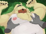 anthro belly blush chest_tuft disembodied_hand duo fluffy fluffy_chest fur grass grope groping_chest hair hair_over_eyes lying male male/male musclegut muscular navel nipples on_back pecs plant ponytail_ears tuft yellow_body yellow_fur grenym bandai_namco digimon digimon_ghost_game angoramon digimon_(species) 4:3 hi_res