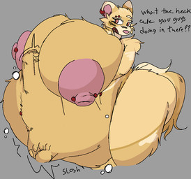 abdominal_bulge anthro areola barbell_piercing big_breasts blush blush_lines breasts dialogue eyelashes female huge_breasts hyper hyper_breasts long_eyelashes male motion_lines nipple_dip nipple_piercing nipples piercing solo text tuft vore wide_hips hornyaxolotl domestic_ferret mammal mustelid musteline true_musteline weasel english_text trans_(lore)