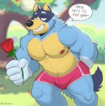 anthro areola barazoku belly biceps big_muscles blurred_background bottomwear clothed clothing day deltoids eyebrows flower fur holding_object holidays hotpants looking_at_viewer male musclegut muscular muscular_anthro muscular_male narrowed_eyes navel nipples offering_to_viewer outside pecs plant rose_(flower) shorts smile solo standing talking_to_viewer teeth text thick_thighs topless topless_anthro topless_male tree tuft ruffusbleu bluey_(series) valentine's_day bandit_heeler australian_cattle_dog canid canine canis cattledog domestic_dog herding_dog mammal pastoral_dog 2024 english_text hi_res url