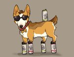 alcohol alcohol_bottle alcohol_bottles anthro beverage collar collar_only eyewear feral fur hair looking_at_viewer male nude simple_background solo standing_on_object sunglasses sunglasses_on_face text sexydotjpg scott_(corgipudding) canid canine canis domestic_dog herding_dog mammal pastoral_dog welsh_corgi hi_res
