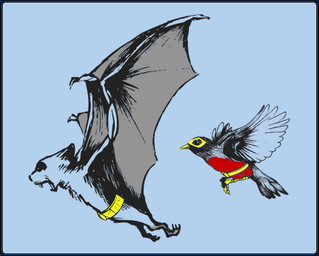 ambiguous_gender beak belt duo feathered_wings feathers feral feralized flying humor mask membrane_(anatomy) membranous_wings parody pun spread_wings visual_pun wings unknown_artist batman_(series) dc_comics batman robin_(dc) avian bat bird mammal oscine passerine robin_(bird)