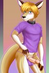 abs anthro athletic athletic_anthro athletic_male ball_bulge balls_in_underwear blonde_hair blue_eyes blush clothing collar erection genitals hair humanoid_genitalia humanoid_penis looking_at_viewer male navel nipples penis shirt smile solo topwear dgemporium kangaroo macropod mammal marsupial hi_res