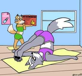 anthro bottomwear clothing exercise male male/male shorts stretching yoga yoga_mat cherrym0nr nintendo star_fox fox_mccloud wolf_o'donnell canid canine canis mammal wolf hi_res