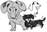 ambiguous_gender feral group 2n2n canid canine canis dachshund domestic_dog hunting_dog mammal 2018 black_and_white greyscale low_res monochrome sketch