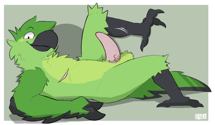 anthro balls beak feet genitals looking_at_viewer lying male mastectomy_scar non-mammal_mastectomy_scar on_back penis presenting presenting_penis scar side_view simple_background solo talons tapering_penis toes sodacaps cleo_(cleothebirb) avian bird absurd_res hi_res trans_(lore) trans_man_(lore)