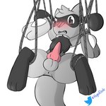 animal_genitalia animal_penis anthro anus balls blush canine_genitalia canine_penis entangled erection genitals knot male penis rope simple_background solo white_background hugoriolu nintendo pokemon hugo_the_riolu generation_4_pokemon pokemon_(species) riolu 1:1 restricted_palette