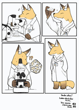 anthro barefoot bodily_fluids clothing coat eyes_closed feet fur id_card interrobang lab_coat laboratory_equipment laboratory_glassware male micro microscope petri_dish scientific_instrument simple_background smile solo standing surprised sweat tail text topwear whiskers white_background white_clothing danbou_kigu canid canine fox mammal 2026 comic digital_media_(artwork) german_text hi_res translated