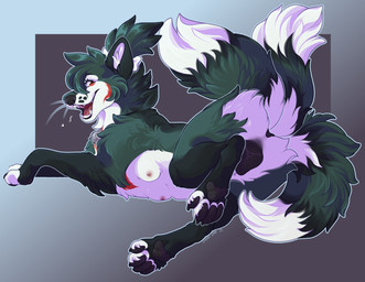 animal_genitalia animal_vulva canine_genitalia canine_vulva female feral flirting fluffy_tails genitals inviting inviting_to_sex looking_back lying on_side open_mouth paws presenting raised_leg solo teats vulva feralfather kiko_(lynx_scenting) canid canine fox mammal
