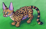 ambiguous_gender blue_eyes feral fur green_background markings simple_background solo spots spotted_body spotted_fur stripes tongue tongue_out insaneproxy_(artist) felid feline mammal serval hi_res