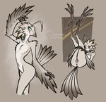 anthro anus beak blue_eyes feathers feet female flat_chested genitals grey_body grey_feathers holding_both_legs holding_legs_back legs_up long_legs lying nude nude_anthro nude_female on_back presenting presenting_pussy pussy solo standing tail tail_feathers talons toes scottieman lyra_(w4g4) avian bird potoo 2022 hi_res