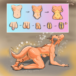 6_breasts all_fours anthro balls breast_growth breasts crossgender demi_transformation eyes_closed facing_away_from_viewer female female_anthro feminization forced forced_transformation gender_transformation genitals genitals_shrinking glans growth heart_symbol mtf_transformation multi_breast multi_breast_growth penis penis_shrinking penis_to_vagina_tf raised_tail snout species_transformation tail tail_growth transformation transformation_sequence vulva melliflox human kobold mammal scalie 1:1 english_description story story_in_description