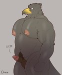 anthro biceps erection genitals glans male muscular muscular_male navel nipples nude pecs penis pubes small_penis solo choco accipitrid accipitriform avian bird eagle