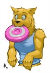 anthro black_nose bodily_fluids clothing ear_piercing ear_ring female frisbee frisbee_in_mouth fur object_in_mouth piercing ring_piercing shirt simple_background solo surprise sweat tank_top topwear white_background yellow_body yellow_fur dogbomber canid canine canis mammal wolf 2014