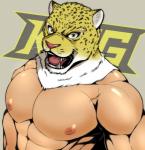 abs clothed clothing for_a_head fur male mask muscular muscular_humanoid muscular_male nipples open_mouth pecs solo spots teeth topless wrestler ig1119 tekken king_(tekken) animal_head animal_humanoid felid humanoid jaguar mammal pantherine 2018