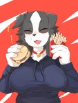 4_fingers anthro big_breasts black_body black_fur black_hair black_nose blush breasts burger cheese chest_tuft clothing collar cute_fangs dairy_products eyes_closed fangs female female_anthro fingers food fries fur hair happy heart_symbol holding_food holding_object hoodie kemono ketchup meat open_mouth open_smile pickle_(food) smile solo teeth text tight_clothing topwear tuft white_body white_fur takeshi_kemo mcdonald's bodako_(takeshi_kemo) border_collie canid canine canis collie domestic_dog herding_dog mammal pastoral_dog sheepdog 2021 3:4 digital_media_(artwork) half-length_portrait hi_res japanese_text portrait translated