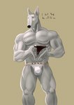 abs anthro biceps clothing dialogue male muscular muscular_anthro muscular_male nipples obliques pecs shy solo text thong triceps underwear vein tush_(artist) julius_(tush) bull_terrier canid canine canis domestic_dog hunting_dog mammal terrier absurd_res english_text hi_res