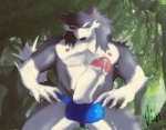 abs anthro balls biceps big_penis blue_eyes blush bodily_fluids bulge claws clothed clothing cum cum_on_penis cum_string cumshot ejaculation erection fluffy fluffy_tail foreskin fur genital_fluids genitals grey_body grey_fur humanoid_genitalia humanoid_penis jockstrap leaking male muscular muscular_anthro muscular_male nipples orgasm pecs penis penis_poking_out pose presenting retracted_foreskin scar solo tail thick_penis thong topless underwear white_body white_fur humbuged joh29 humplex zulf canid canine canis mammal wolf 2012