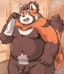 anthro balls belly big_belly brown_body flaccid foreskin genitals humanoid_genitalia humanoid_penis kemono male moobs navel nipples nude open_mouth orange_body overweight overweight_male penis solo steam towel kotadash tamacolle suruga_(tamacolle) ailurid mammal red_panda 2024