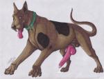 4_toes canine claws cum dog erection feral hindpaw horny knot male mammal ookami-girl paws penis precum scooby-doo scooby-doo_(series) solo toe_claws toes tongue tongue_out
Rating: Explicit
Score: 8
User: zfox
Date: October 24, 2013