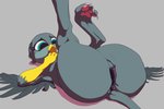 3:2 absurd_res anus avian butt eqlipse_(artist) female friendship_is_magic gabby_(mlp) genitals gryphon hasbro hi_res my_little_pony mythological_avian mythological_creature mythology presenting pussy solo wings