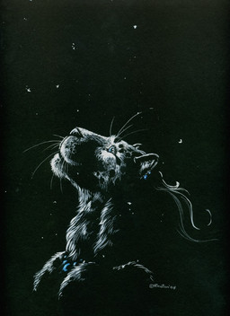 ambiguous_gender anthro black_background dark night outside simple_background sky snow snowing solo star starry_sky heather_bruton felid leopard mammal pantherine 2008 monochrome