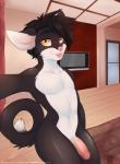 anthro erection femboy genitals hair hotel hotel_room inside male nude penis selfie smile solo tongue wide_hips yellow_eyes sioteru jamie_sharp domestic_cat felid feline felis mammal tuxedo_cat digital_media_(artwork) shaded