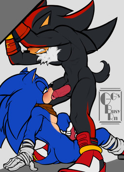anthro balls black_body black_fur blue_body blue_fur blush clenched_teeth clothing duo erection fellatio footwear fur genitals gloves hair hand_on_penis handwear humanoid_genitalia humanoid_penis male male/male male_penetrated male_penetrating masturbating_while_penetrated masturbation narrowed_eyes open_mouth oral oral_penetration penetration penile penile_masturbation penile_penetration penis sex shallow_penetration simple_background sitting standing tail teeth tongue tongue_out ggs_busyrn sega sonic_boom sonic_the_hedgehog_(series) shadow_the_hedgehog sonic_the_hedgehog eulipotyphlan hedgehog mammal absurd_res digital_media_(artwork) hi_res