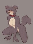 anthro blush bodily_fluids collar female genital_fluids genitals nipples nude pubes puffy_nipples pussy saliva solo tongue tongue_out vaginal_fluids clingyhyena beastars juno_(beastars) canid canine canis mammal wolf 3:4 hi_res