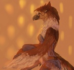 anthro beak biped clothed clothing feathered_wings feathers female lingerie looking_at_viewer side_view sitting skimpy solo underwear winged_arms wings mab mythology accipitrid accipitriform avian bird gryphon mythological_avian mythological_creature