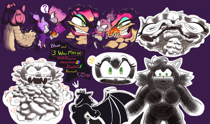 anthro female forced forced_transformation fusion group purple_background simple_background slightly_chubby transformation trio mexelements sega sonic_the_hedgehog_(series) amy_rose blaze_the_cat rouge_the_bat bat domestic_cat eulipotyphlan felid feline felis hedgehog hybrid mammal 2026 hi_res