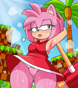 anthro biped bodily_fluids breasts clothed clothing detailed_background dress eyelashes female hair outside panties pink_body pink_hair pupils red_clothing solo sweat underwear surjang sega sonic_the_hedgehog_(series) amy_rose eulipotyphlan hedgehog mammal absurd_res hi_res