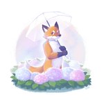 ambiguous_gender anthro biped black_nose convenient_censorship cute_fangs flower fur humanoid_hands kemono orange_body orange_fur outside parasol plant solo white_body white_fur flappydog canid canine fox mammal 1:1 2022 hi_res