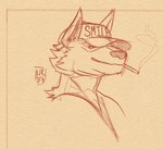 anthro baseball_cap cigarette cigarette_in_mouth cigarette_smoke clothing clothing_writing hat headgear headwear male object_in_mouth smoke smoking solo text hyprknetc cape_escape gnollplaying_games jet_adler_(cape_escape) canid canine canis coyote mammal headshot_portrait hi_res portrait sketch