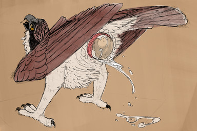 ambiguous_fluids animal_genitalia beak bodily_fluids cloaca cum cum_from_cloaca egg feathers feet female feral genital_fluids genitals nictitating_membranes oviposition saliva solo tail tail_feathers talons toes tongue wings yellow_eyes einin accipitriform avian bird osprey 3:2 hi_res