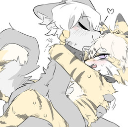 annoyed anthro anthro_on_anthro arms_tied black_stripes blonde_hair blush bodily_fluids bound carrying_another carrying_partner carrying_position collar duo embarrased_horny embarrassed entwined_tails eyes_closed fur grey_body grey_fur hair hand_behind_back happy heart_symbol inner_ear_fluff looking_away male male/male multicolored_body multicolored_fur orange_body orange_fur purple_eyes sex smile stripes sweat sweatdrop tail tail_coil teeth tuft white_hair vitame83 canid canine canis felid feline felis mammal hi_res