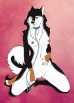 anthro areola biped blue_eyes blush bodily_fluids breasts chest_tuft clitoris collar female fur genital_fluids genitals kneeling leash looking_at_viewer mane navel nipples pussy solo tuft vaginal_fluids cyiakanami canid canine canis domestic_dog mammal hi_res