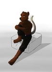 4_toes anthro bare_chest barefoot belt bottomwear clothing eyebrow_scar eyebrows facial_scar feet humanoid_feet male pants plantigrade scar sitting solo tail toes gearfox98 liam_(gearfox98) mammal mouse murid murine rodent absurd_res digital_media_(artwork) hi_res