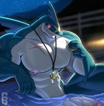 2_penises abs absurd_res anthro anthrofied areola arm_fins biceps big_muscles big_pecs blue_body blue_scales captain_butch_(solard0gg0) diphallism fin fingers fish generation_3_pokemon genitals glowing glowing_eyes hi_res holding_object horizontal_diphallism jewelry male marine multi_genitalia multi_penis muscular muscular_male muscular_thighs navel necklace night nintendo nipples pecs penis pink_areola pokemon pokemon_(species) red_eyes scales scar shark sharpedo sitting sitting_in_water sky solard0gg0 solo star starry_sky teeth vein veiny_muscles veiny_penis white_body white_scales