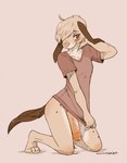 anthro big_penis big_penis_embarrassment blush bottomless clothed clothing embarrassed femboy floppy_ears genitals humanoid_genitalia humanoid_penis male penis shirt solo topwear caninelove freckles_(kurenaikyora) canid canine canis domestic_dog mammal digital_media_(artwork) hi_res shaded