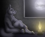 brooding lamp lantern light male moody moon night pose sitting solo somber wolfir rahir_(artist) canid canine canis mammal wolf 2022 6:5 digital_media_(artwork) hi_res