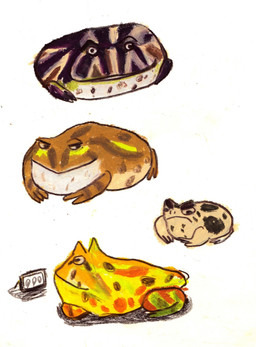 ambiguous_gender black_body brown_body feral group orange_body simple_background tan_body white_background yellow_body osier_forest amphibian frog species_request 2023 hi_res sketch_page