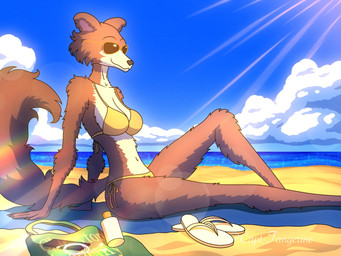 anthro beach bikini bikini_bottom bikini_top clothing cloud eyewear female flip_flops footwear light navel sand sandals sandals_removed sea seaside shoes sitting solo summer sun sunbathing sunglasses sunlight swimwear two-piece_swimsuit water capt-tangerine beastars juno_(beastars) canid canine canis mammal wolf 4:3