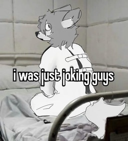 anthro asylum bed eye_through_hair furniture hair looking_at_viewer male mental_breakdown padded_room photo_background rear_view restraints sitting solo straitjacket text translucent translucent_hair ivory33 canid canine canis mammal wolf english_text meme photography_(artwork) reaction_image