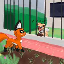 3_toes barking duo feet fence feral lawn paws toes lewdkitten069 nintendo pokemon generation_7_pokemon generation_8_pokemon nickit pokemon_(species) rockruff 1:1 absurd_res hi_res