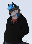 anthro blue_eyes blue_hair clothing fur grey_body grey_fur hair hand_in_pocket hoodie looking_at_viewer male pockets solo topwear smpy nimbus_(wcnimbus) canid canine canis fox hybrid mammal wolf hi_res